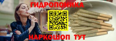 ECSTASY Новозыбков