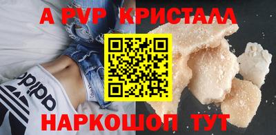 ECSTASY Новозыбков